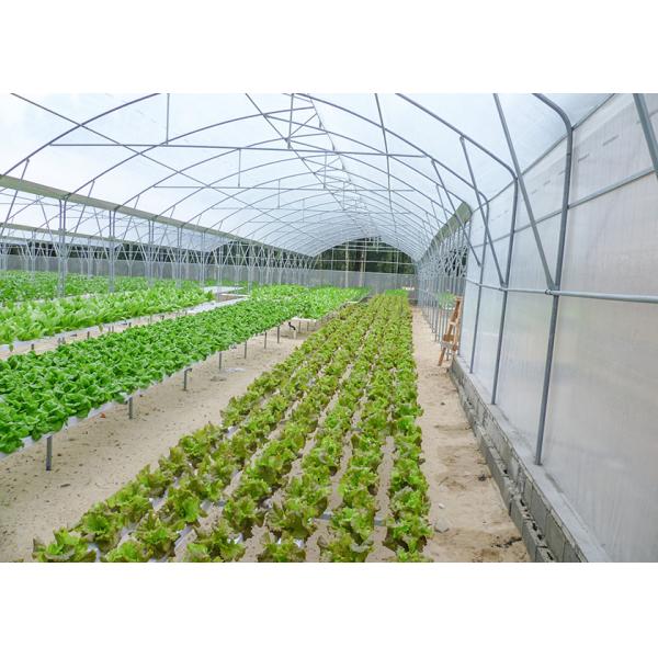 UV Sterilizer Nft Farming System Disease Resistant For Leafy Greens Growth
