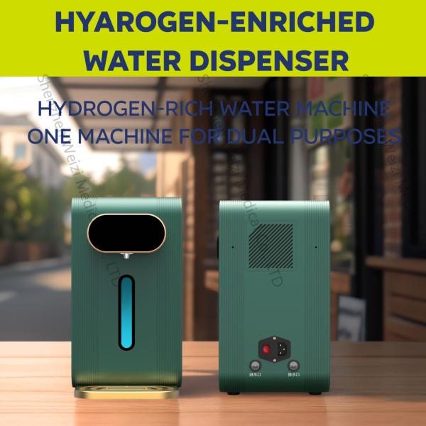 Household Hydrogen Rich Water Drinking Machine And Inhalation Machine 900ml WEIZI