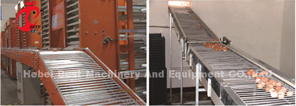 A H Type Adult Commercial Chicken Battery Cages For Laying Hens Star