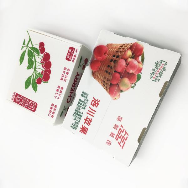 Moisture Resistance Frozen Food Carton Corrugated PP Box HD Printing Honeycomb