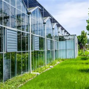 China Venlo Glass Greenhouse for Flower Growing with Substrate Culture on sale