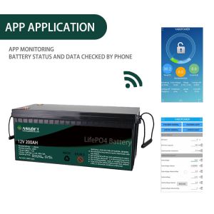 Environmentally Friendly LFP 100ah 200ah 12V Lithium Battery Pack Lifepo4