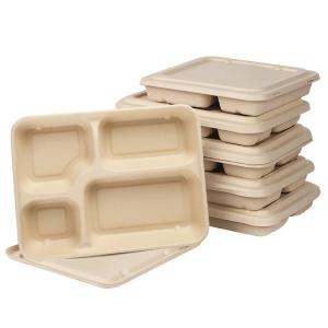 Quality 4 Compartments Biodegradable Sugarcane Bagasse Plates Compostable For Lunch for sale