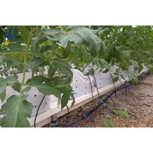 Vertical Planting PVC Substrate Grow Gutter Hydroponic Pepper Tomato Plant