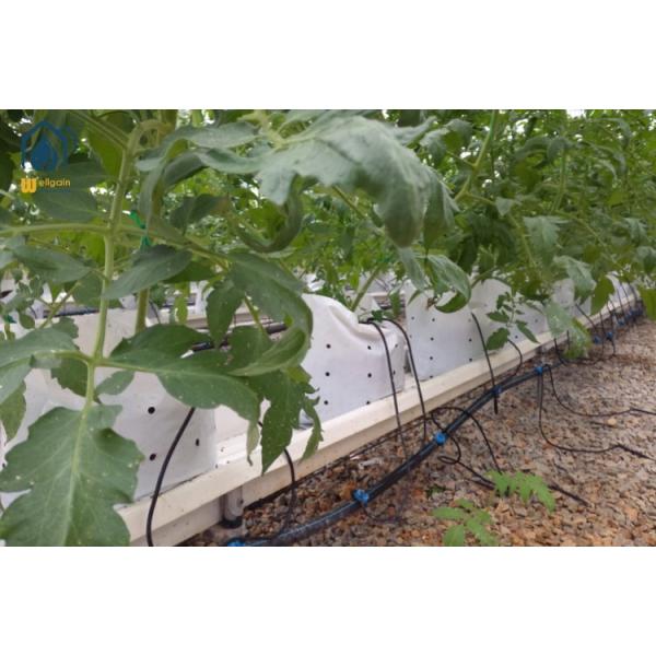 Vertical Planting PVC Substrate Grow Gutter Hydroponic Pepper Tomato Plant