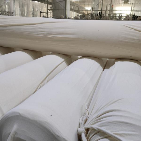 Certificated 100% Orgnaic Cotton Melange Color Gray Grey Cloth Vintage Plain Single Jersey Fabric With Light Weight