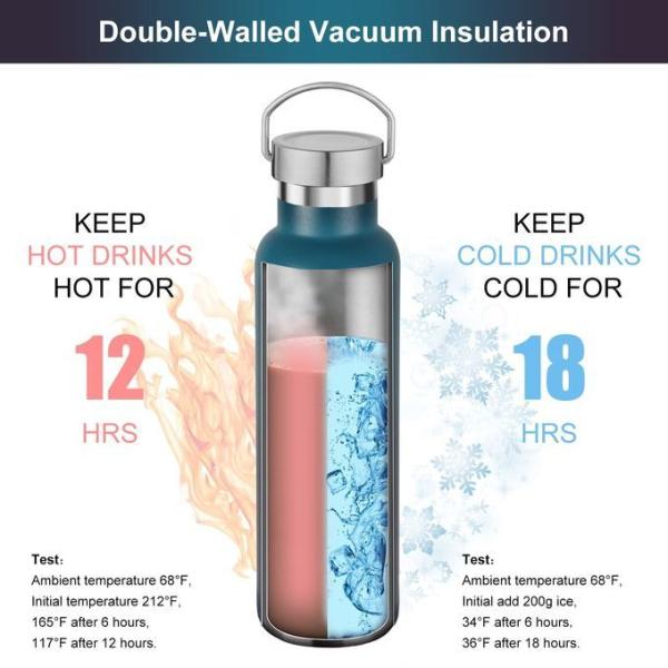 17 oz Stainless Steel Sports Water Bottle Insulated Reusable Water Bottles with Handle Metal Bottle for Hikers Gift