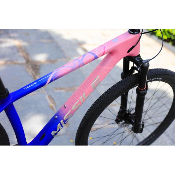 Aluminum Alloy Rim 24 Speed 29 Inch Carbon Mountain Bike for Mountain Adventures
