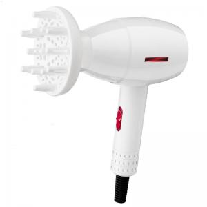 China Axial Flow Dual Voltage Electric Hair Dryer For Travel Home Use on sale