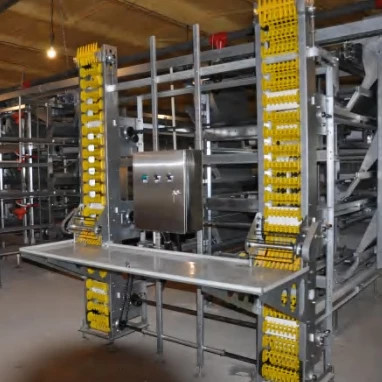 Modern Design H Type Automatic Egg Poultry Farms Battery Layer Chicken Cages
