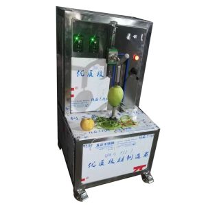 Food Production Line Automatic Pickled Cucumber Canning Production Line