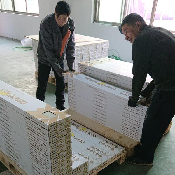 Supply Real Wood Veneer SPC Flooring with Advanced Click System and SPC Rigid Core