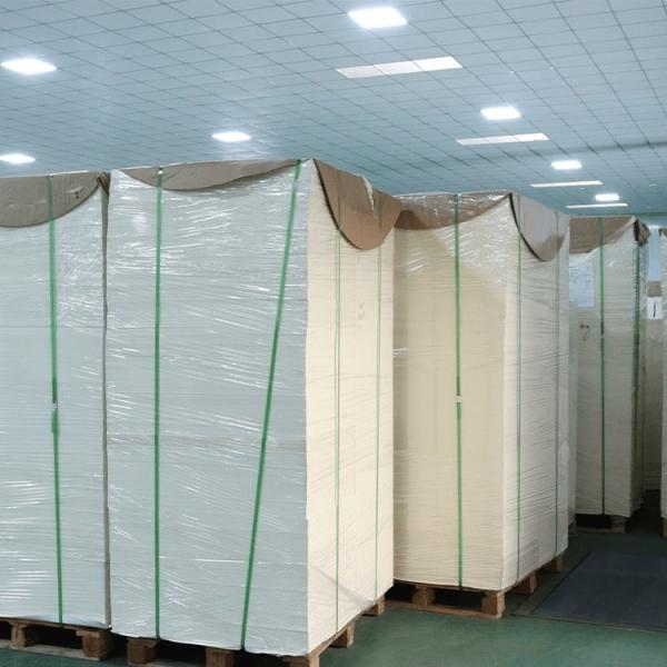 China Factory Wholesale Custom Designed PE Coated Paper Sheet for Making Paper Cups