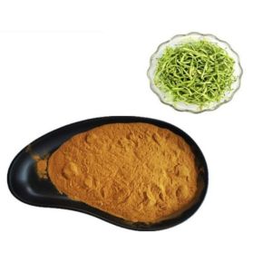 Quality Honeysuckle PE Plant Extracted Powder Herbal Feed Additives Anti Bacterial for sale