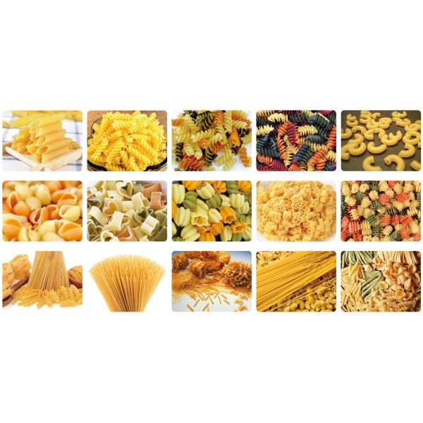 380V 50HZ Commercial Pasta Macaroni Production Line Machine 2000kg