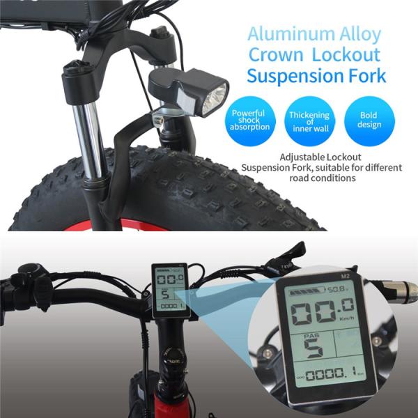 6061Alu 26 Inch Fat Tire Electric Bike 28MPH Max Speed Multi Patterned