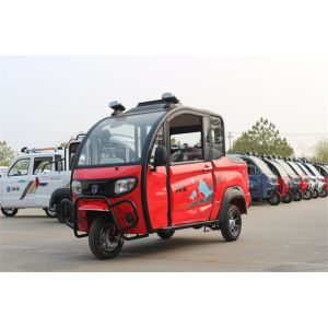 Open Electric Passenger Tricycle Enclosed 3 Wheel Electric Moped