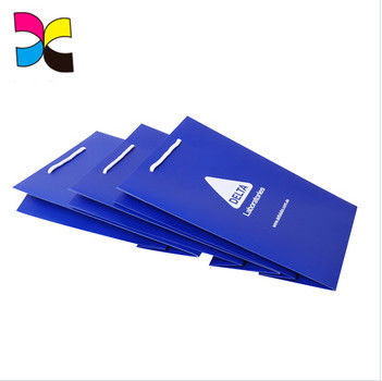 Silver Stamping Blue Paper Bags Custom Logo Printing For Shopping Gift Coloful