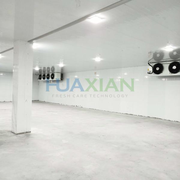 China Sale Industrial Refrigeration Equipment Modular Container/Walk in Freezer