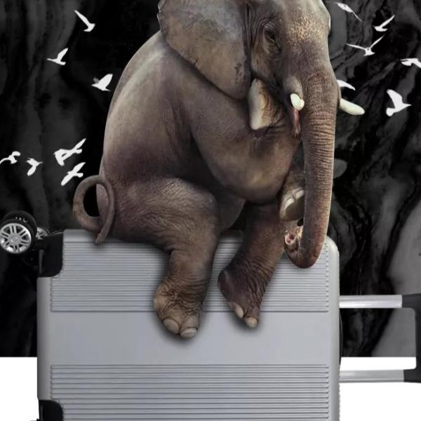 PP Aluminum Trolley Travel Luggage Sets Suitcase On Wheels 20 Inch Waterproof Hard Case