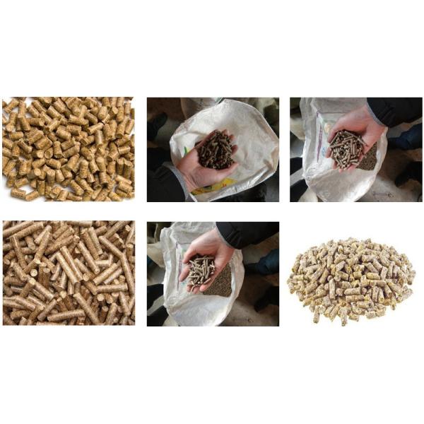 Wood Pellet Mill 1-10 T/H