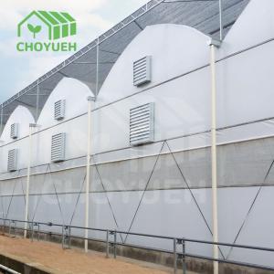 China Double Layer PE Film Multi Span Film Greenhouse With Hydroponic System on sale