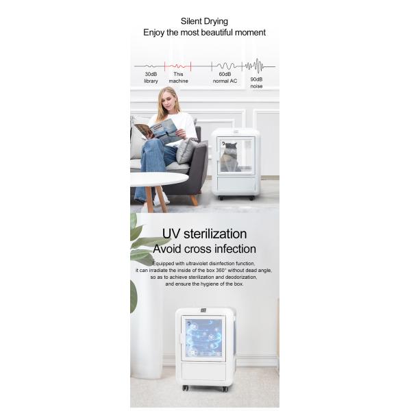 220V 1650W PET Drying Room Spa Care , Low Noise Pet Hair Dryer Box