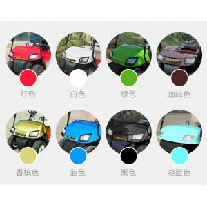 6 Passengers Electric Sightseeing Car Limo Style Golf Cart OEM