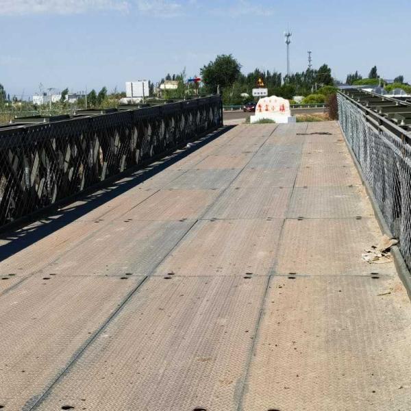 Customized Pedestrian Panel Bridge Skywalk Steel Walking Bridge