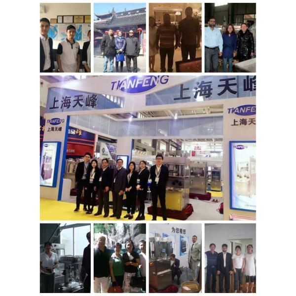 ZPW15 17D Mini Medicine Fully Automatic Camphor Making Machine