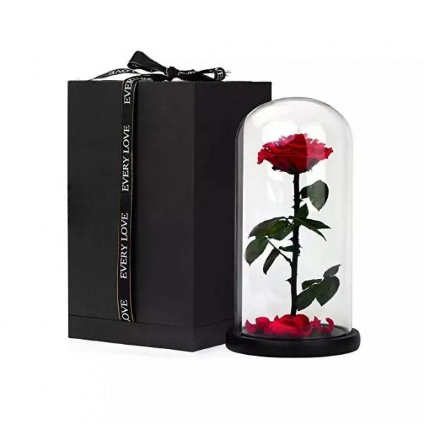 Buy Huge rose Preserved rose in glass valentines day preserved rose gift at wholesale prices