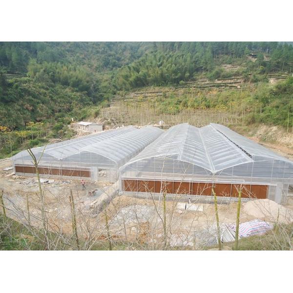 Commercial Vegetable Greenhouse Kits With Rain Gutter And Large Zinc Coating 275gsm