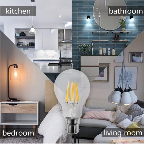 230V White LED Filament Bulb , A60 A19 4W 6W LED Edison Bulb