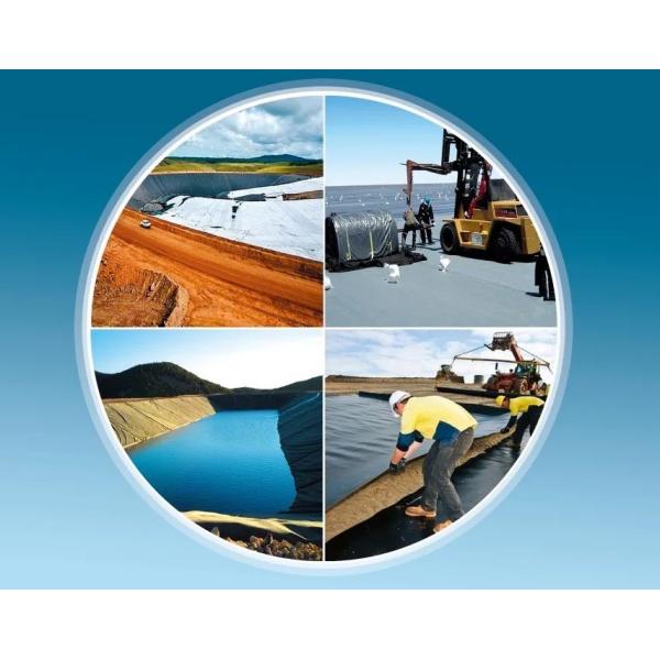 ASTM Standard Agriculture Pond Liner HDPE Geomembrane Double Smooth 0.5mm Waterproof Membrana