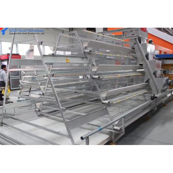 Automatic Broiler Poultry Farming Equipment Galvanized H Type Battery Chicken Cages
