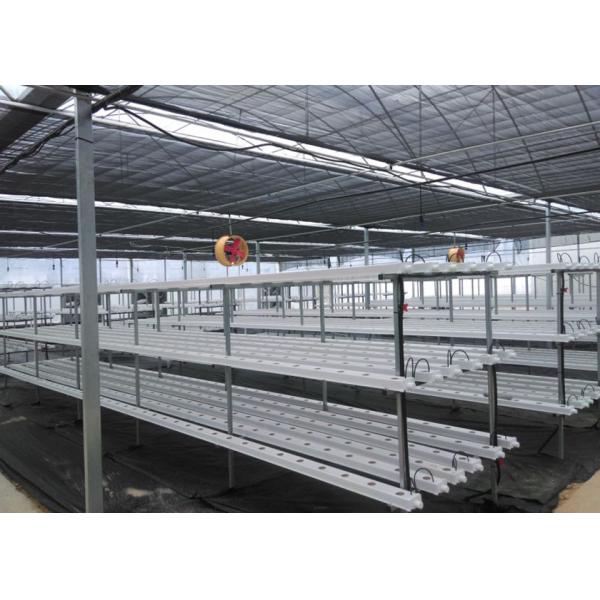 Vertical Automated Pvc Nft Hydroponics System Nft Hydroponic Farm