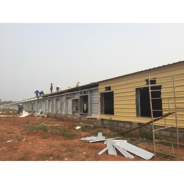 Painted Chicken Steel Structure Poultry House ASTM DIN GB JIS Standard