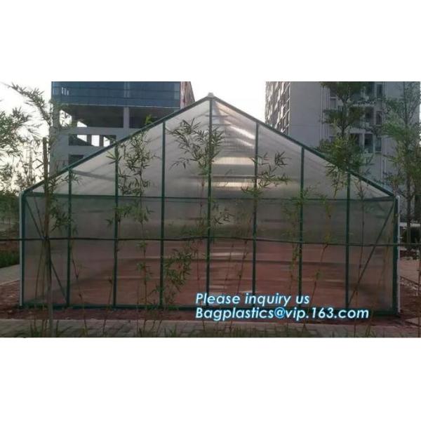 Mini Walk In 3 tiers 6 Shelves Greenhouses Portable Plastic Outdoor Green House,Agricultural Green House or Chicken Farm