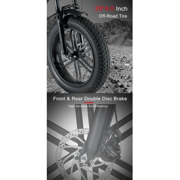 Full Suspension Rear Hub Motor Electric Bike With 48v 1000w Power And REMOVABLE BATTERY