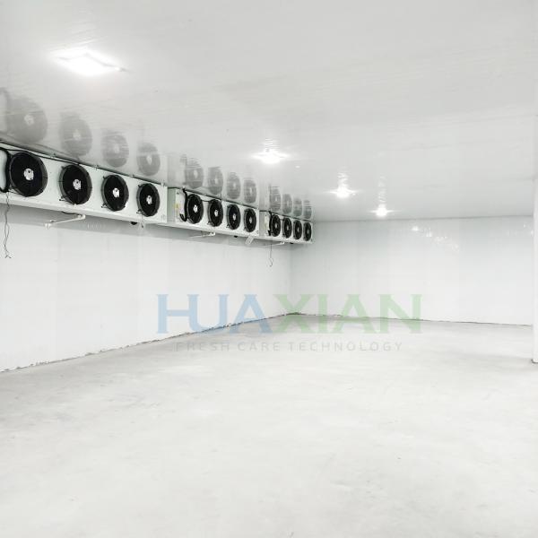 China Refrigeration Unit Industrial Walk in Blast Deep Freezer Food Storage Cold Room