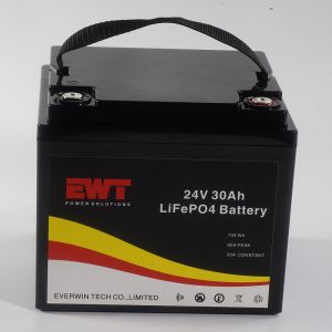 Quality Lifepo4 Portable Battery Pack 24V 30AH With Bluetooth Can for sale