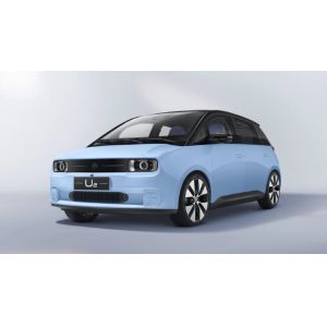 Quality 3.8m mini electric car for sale