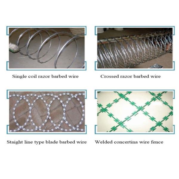 BTO30 Galvanized Concertina Razor Barbed Wire Green PVC Coated