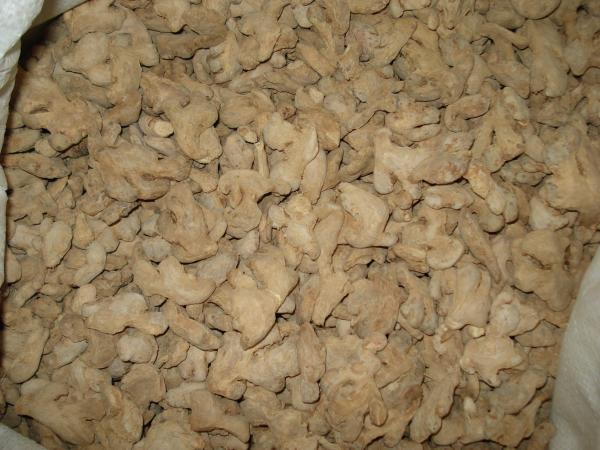 Buy Natural Yellow Dehydrated Ginger Root Whole Part With Fresh Materials at wholesale prices