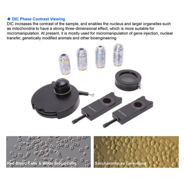 Rohs OPTO EDU A17.1091 Manual Microscope Research Laboratory 10 People