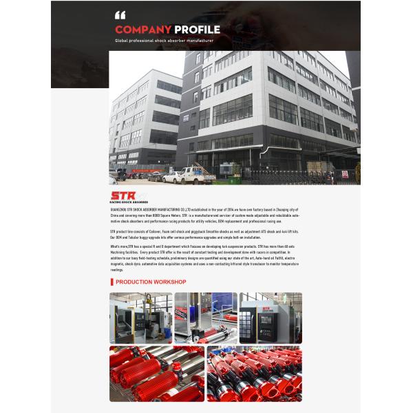 Ford F150 2.5 OE Shock Absorber Suspension Kit ST8000 2.25 Inches