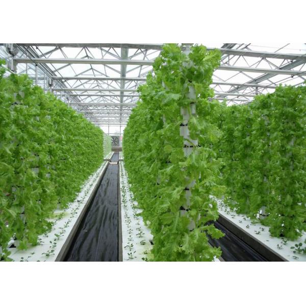 Space Saving Vertical Nft Hydroponic System Eco Friendly Recycles Water Resources