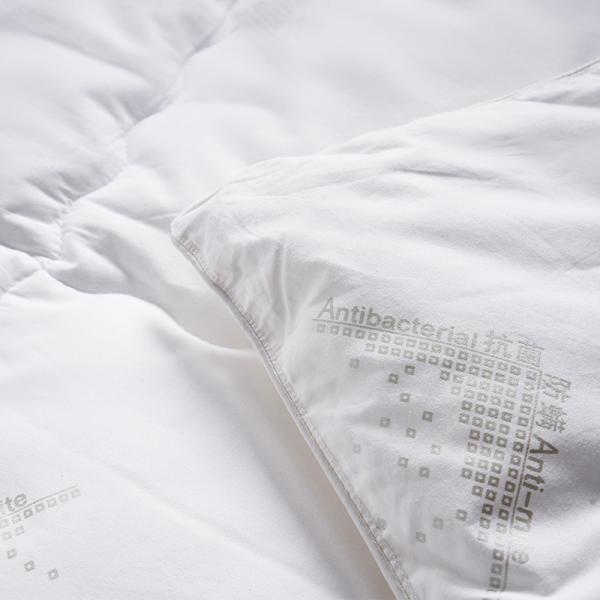 Warm Hotel Style Quilt Student Hotel Down Quilt Accept Customized Logo