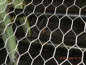 China Galvanized Hexagonal Wire Mesh/Livestock Wire Netting on sale