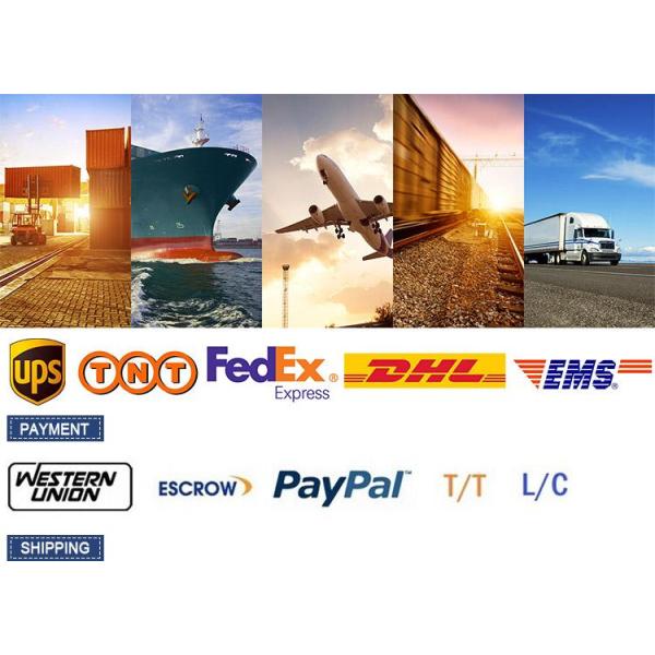 Electric Carton Erector Supplier Plastic Case Erector And Bag Inserter